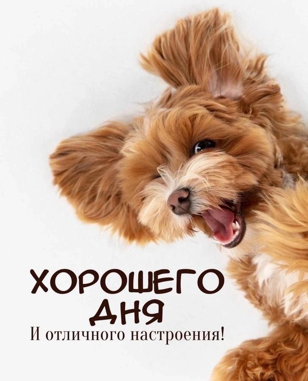 Изображение №68 1036x1280  из коллекции «Открытки «Хорошего дня!»»