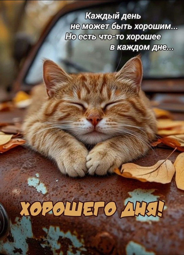 Изображение №16 1080x1498  из коллекции «Открытки «Хорошего дня!»»