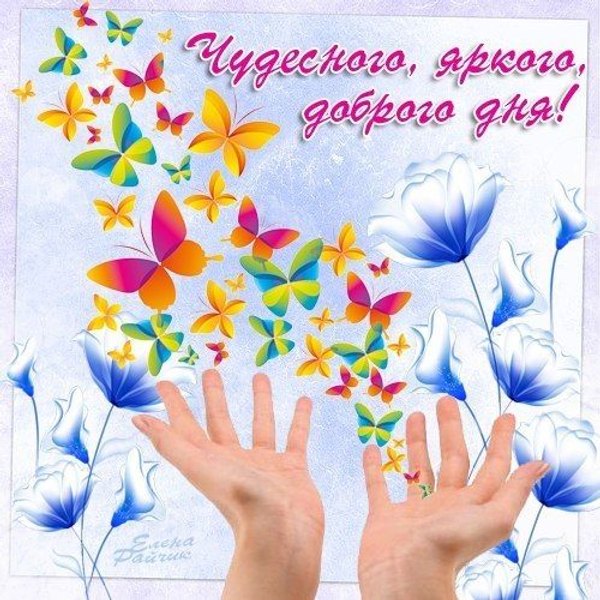 Изображение №65 500x500 «Чудесного яркого доброго дня!» из коллекции «Открытки «Хорошего дня!»»