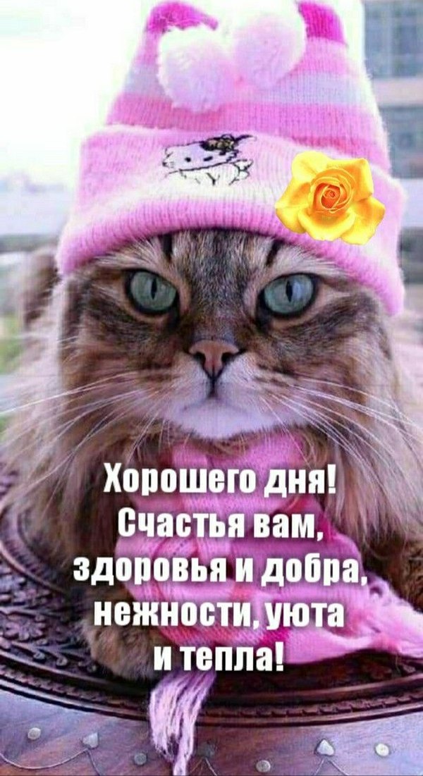 Изображение №108 615x1129  из коллекции «Открытки «Хорошего дня!»»