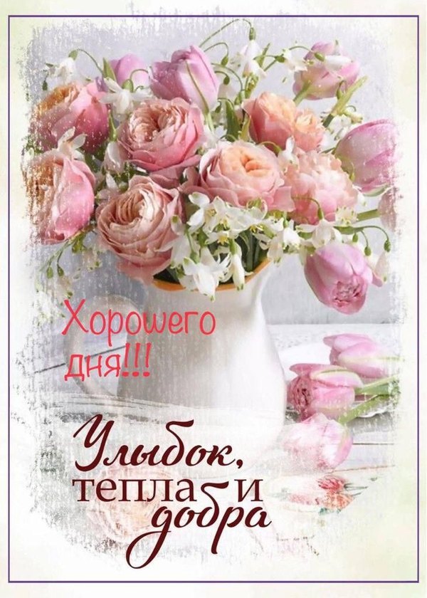 Изображение №26 731x1024 «Хорошего дня! Улыбок, тепла и добра!» из коллекции «Открытки «Хорошего дня!»»