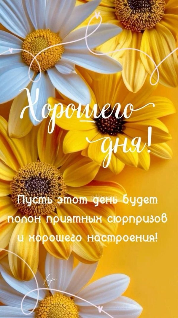 Изображение №25 720x1280  из коллекции «Открытки «Хорошего дня!»»