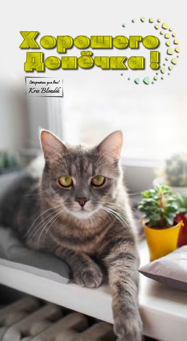 Изображение №80 660x1200  из коллекции «Открытки «Хорошего дня!»»