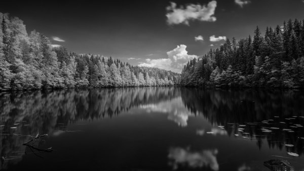 Изображение №47 3840x2160 «Черно-белый пейзаж, озеро в лесу» из коллекции «Чёрно-белые Обои 4k»