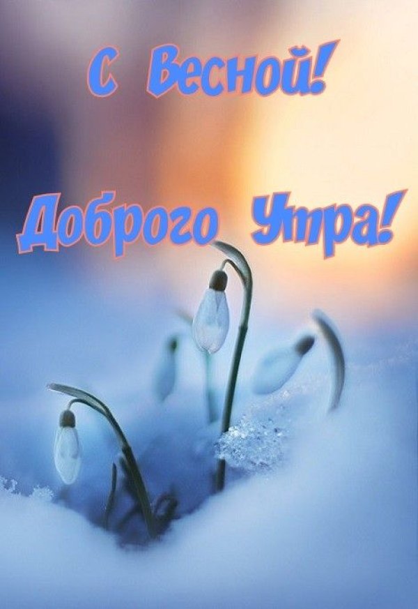 Изображение №18 470x684 «С весной! Доброго утра!» из коллекции «Открытки «С добрым весенним утром!»»