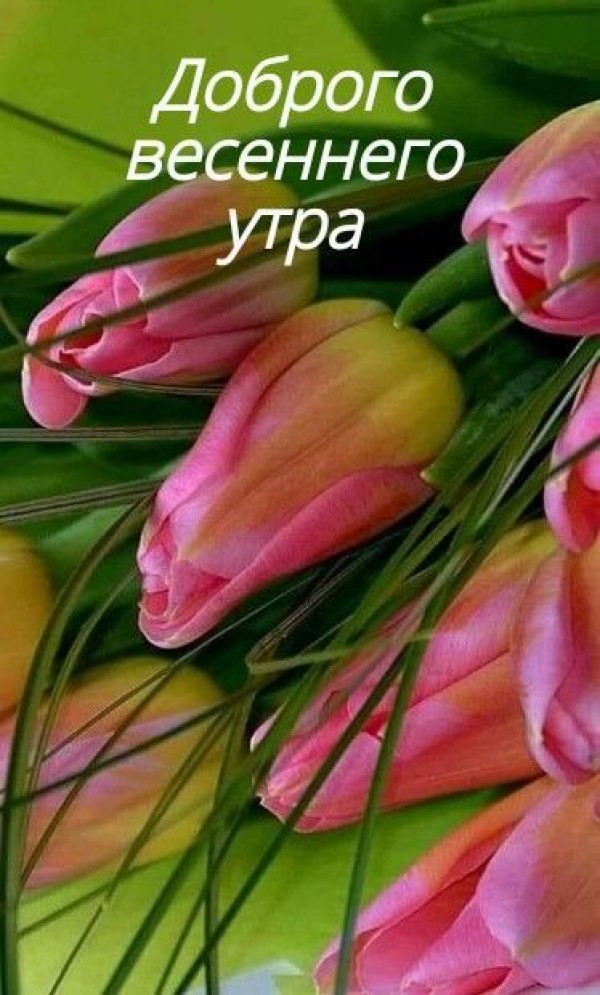 Изображение №37 374x620 «Доброго весеннего утра!» из коллекции «Открытки «С добрым весенним утром!»»