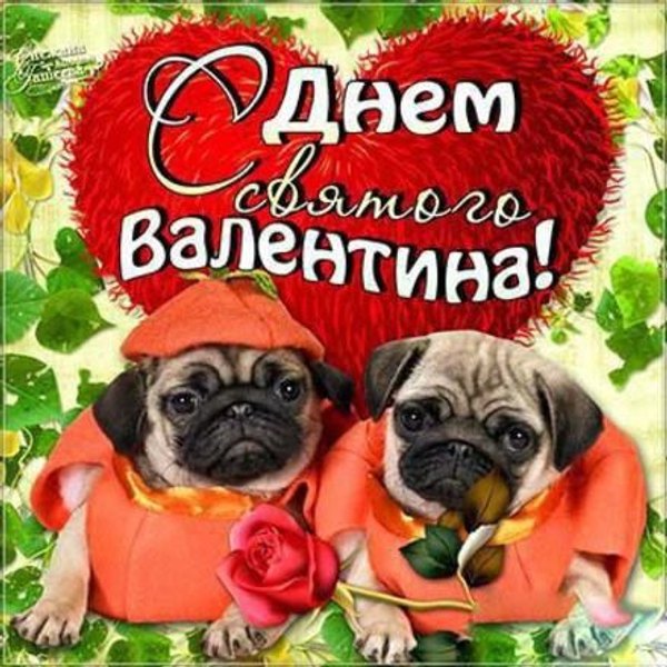 Изображение №52 440x440 из коллекции «Открытки на 14 февраля С Днём Святого Валентина!»