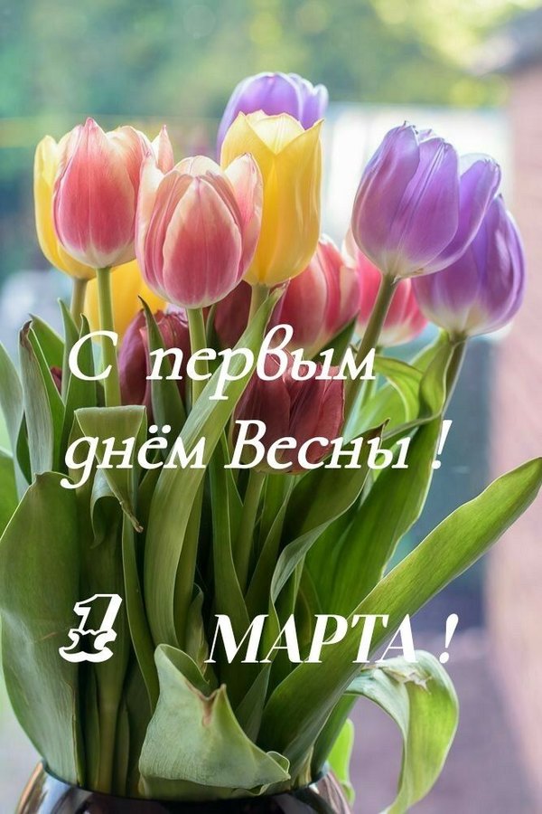 Изображение №5 667x1000 «Открытка С первым днём весны 1 марта!» из коллекции «Открытки «С Весной!»»