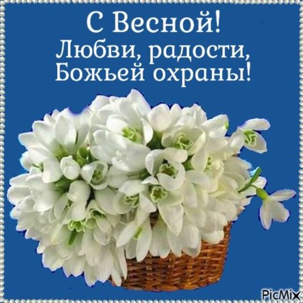 Изображение №30 500x500  из коллекции «Открытки «С Весной!»»