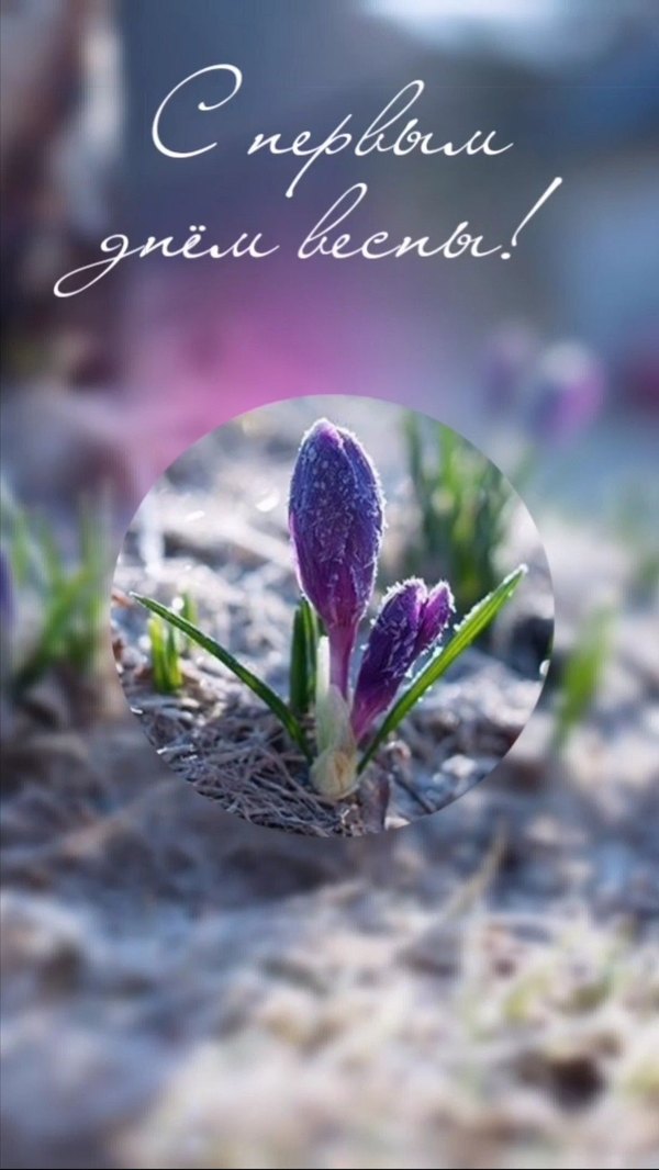 Изображение №28 1080x1919  из коллекции «Открытки «С Весной!»»