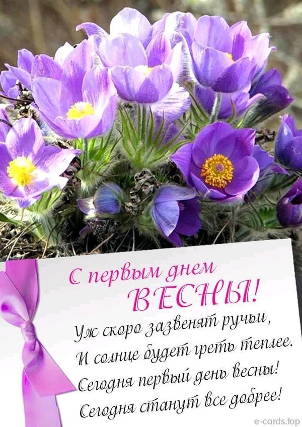 Изображение №53 724x1024 «Открытка поздравление С первым днём весны!» из коллекции «Открытки «С Весной!»»