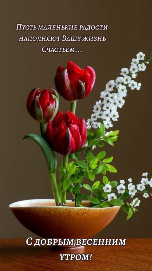Изображение №2 736x1307 из коллекции «Открытки «С добрым весенним утром!»»
