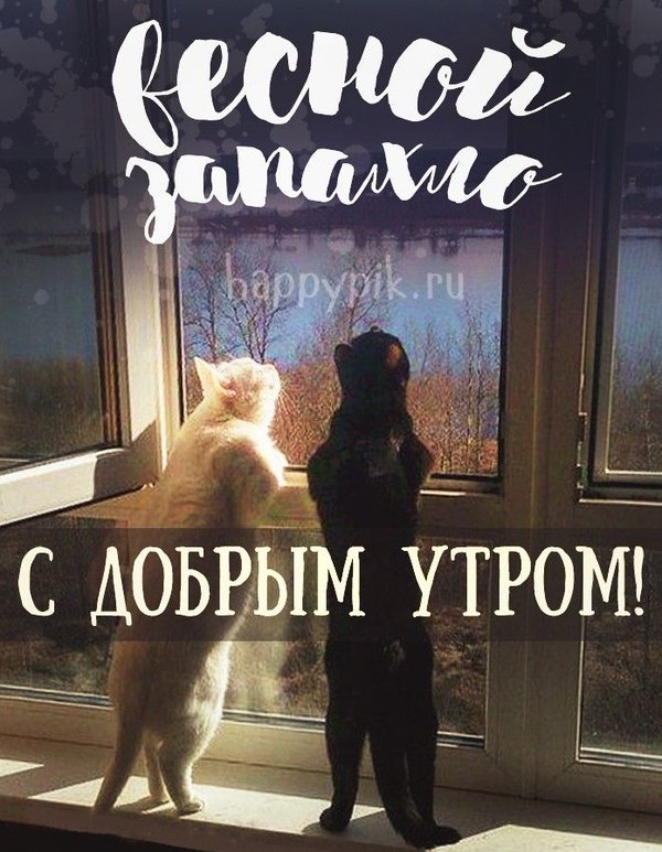 Изображение №25 696x897 «Весной запахло... С добрым утром!» из коллекции «Открытки «С Весной!»»