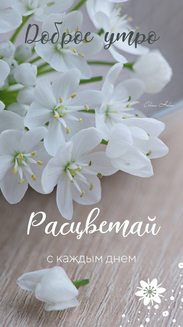 Изображение №47 1080x1920 «Доброе утро! Расцветай с каждым днем!» из коллекции «Открытки «С добрым весенним утром!»»