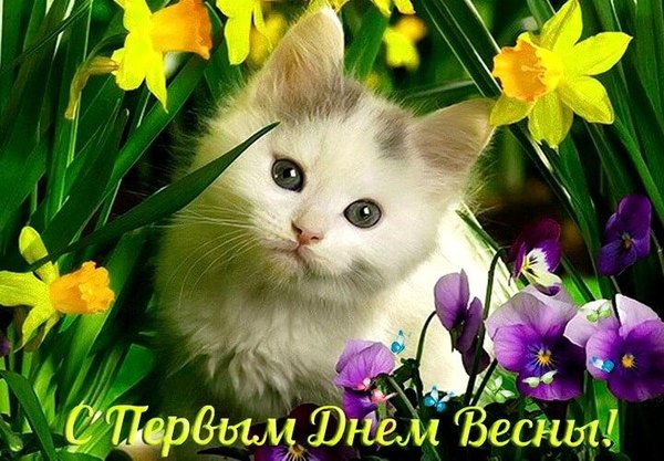 Изображение №71 720x500 «Открытка С первым днём весны!» из коллекции «Открытки «С Весной!»»