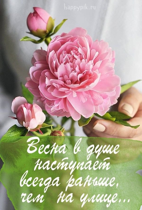 Изображение №34 600x882  из коллекции «Открытки «С Весной!»»