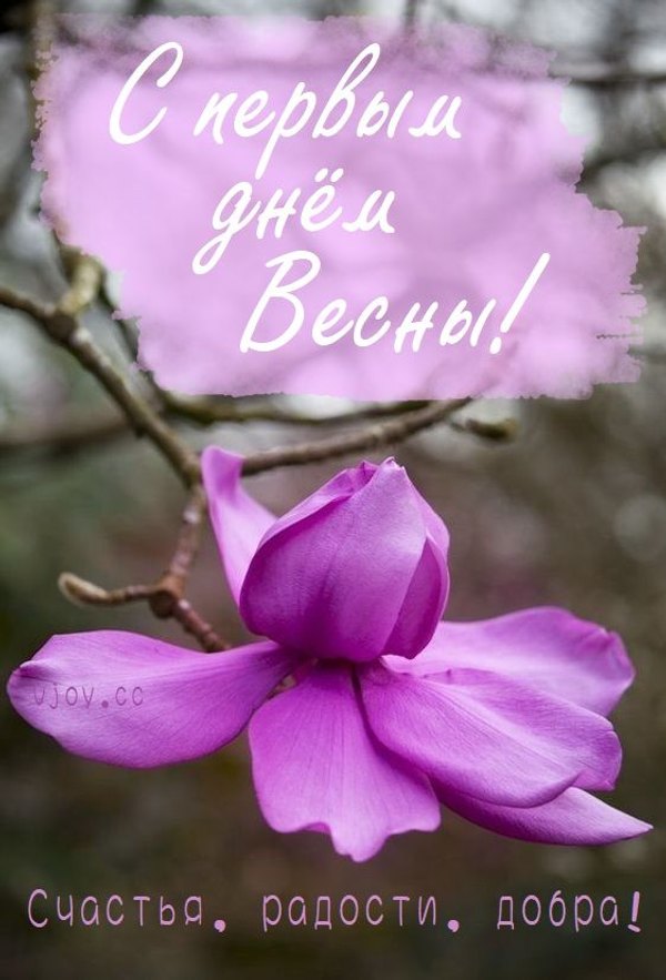 Изображение №44 562x827 «С первым днём весны! Счастья, радости, добра!» из коллекции «Открытки «С Весной!»»