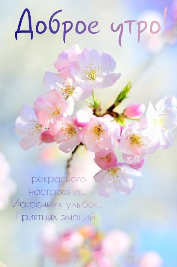 Изображение №36 728x1096 из коллекции «Открытки «С добрым весенним утром!»»