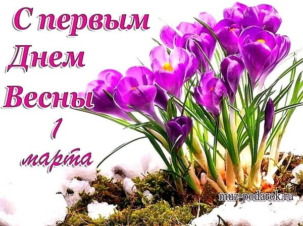 Изображение №45 735x550 «Открытка С первым днём весны 1 марта!» из коллекции «Открытки «С Весной!»»