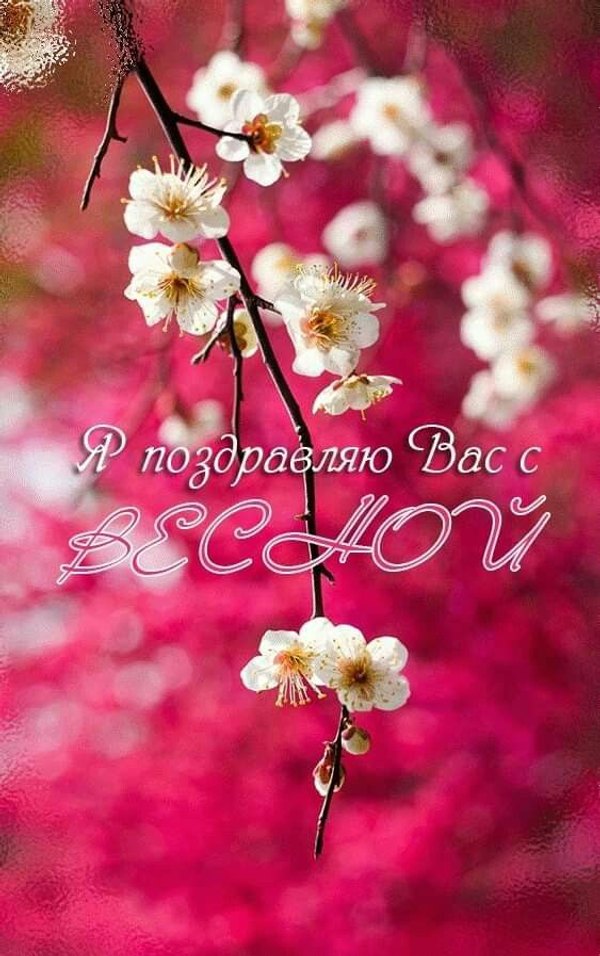 Изображение №20 563x897 «Я поздравляю вас с весной!» из коллекции «Открытки «С Весной!»»