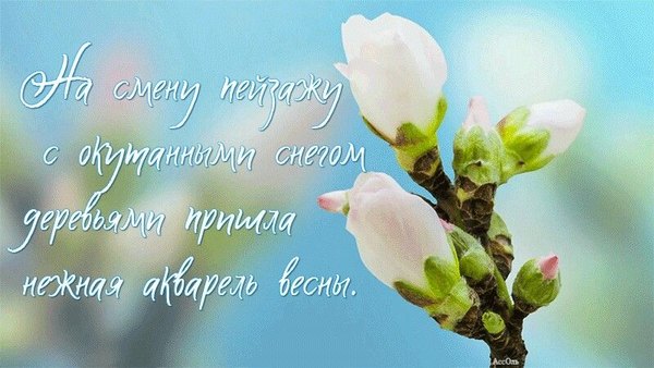 Изображение №39 800x450  из коллекции «Открытки «С Весной!»»