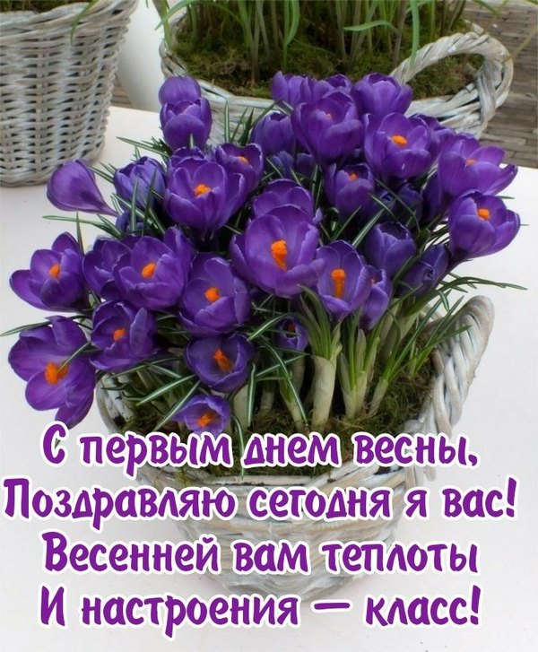 Изображение №19 735x890 «Поздравляю С первым днём весны!» из коллекции «Открытки «С Весной!»»