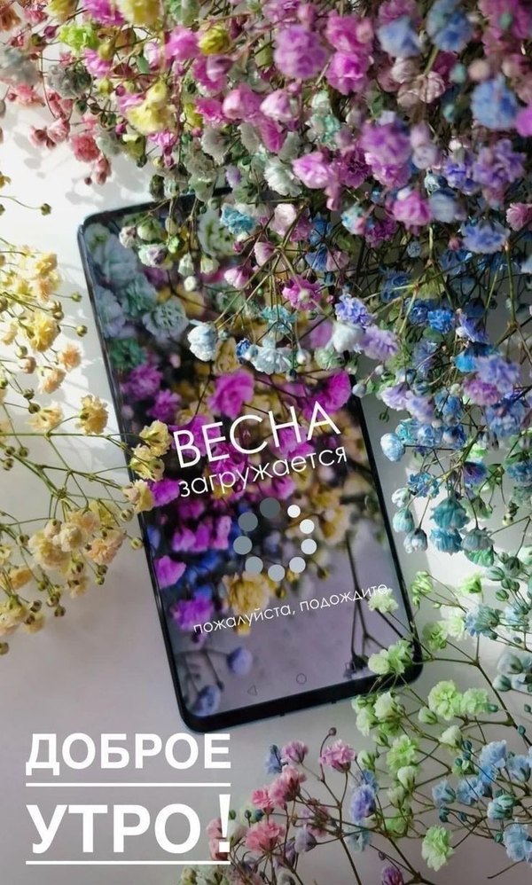 Изображение №4 736x1224 «Весна загружается... Доброе утро!» из коллекции «Открытки «С Весной!»»