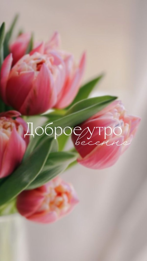 Изображение №56 675x1200 «Доброе утро весеннее!» из коллекции «Открытки «С добрым весенним утром!»»