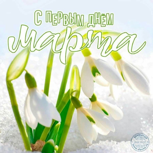 Изображение №73 900x900 «Открытка С первым днём марта!» из коллекции «Открытки «С Весной!»»
