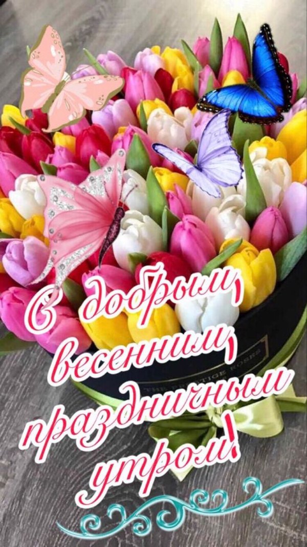 Изображение №14 675x1200 «С добрым весенним праздничным утром!» из коллекции «Открытки «С Весной!»»