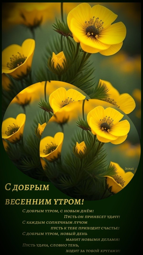 Изображение №45 1215x2160 «С добрым утром, с новым днем! Весна, цветы» из коллекции «Открытки «С добрым весенним утром!»»