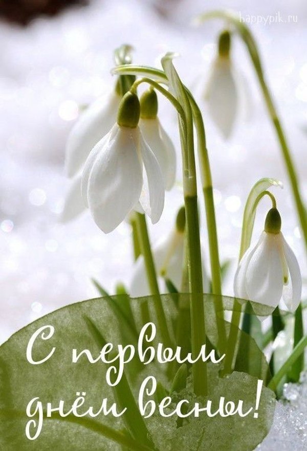 Изображение №47 520x764 «Открытка С первым днём весны!» из коллекции «Открытки «С Весной!»»