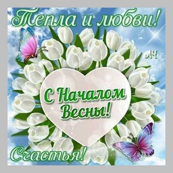 Изображение №63 736x736 «Тепла и любви! С началом весны!» из коллекции «Открытки «С Весной!»»