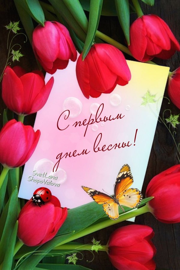 Изображение №32 1200x1803 «Открытка С первым днём весны!» из коллекции «Открытки «С Весной!»»