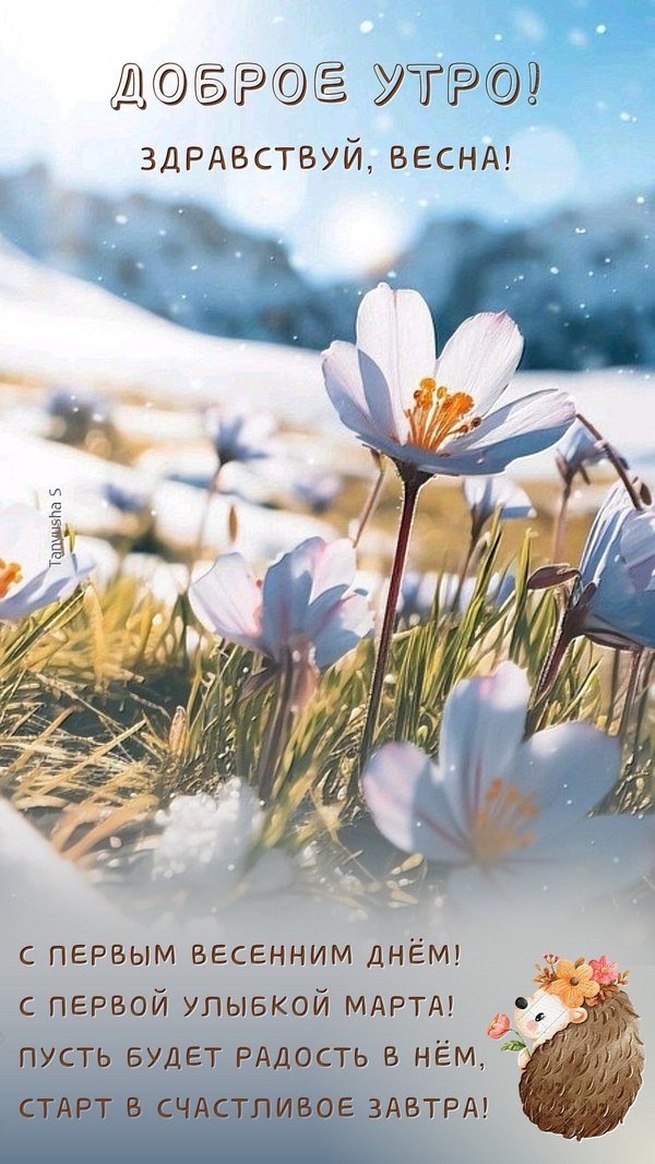 Изображение №29 1080x1920 «Доброе утро! Здравствуй, Весна!» из коллекции «Открытки «С Весной!»»