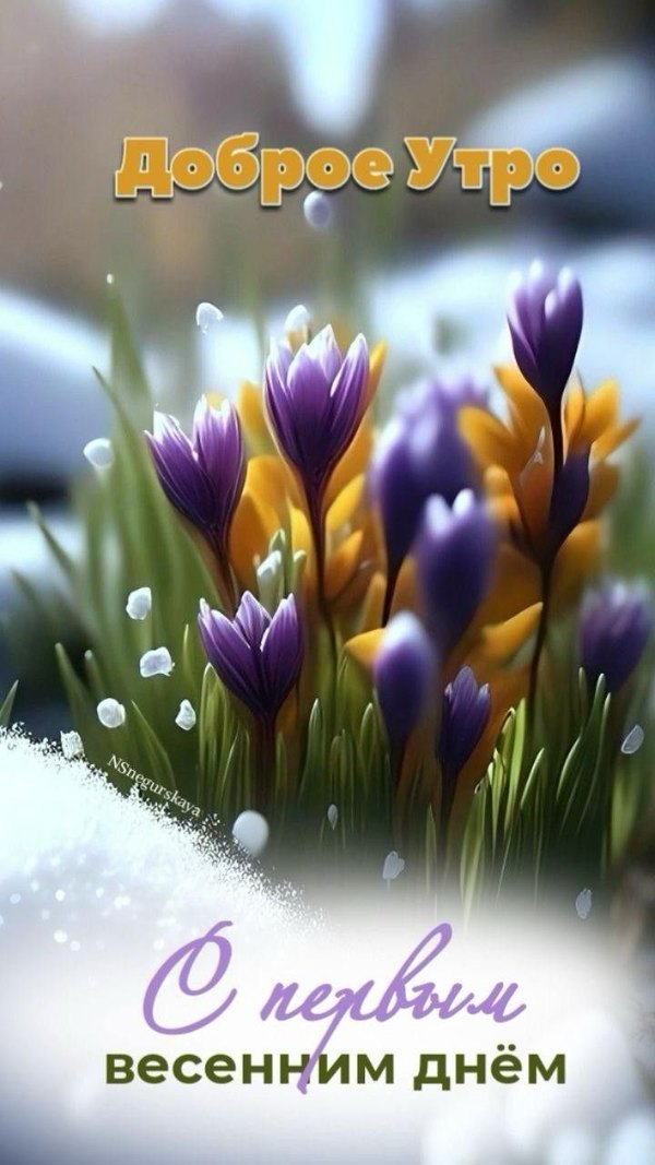 Изображение №10 720x1280 «Доброе утро! С первым весенним днём!» из коллекции «Открытки «С Весной!»»