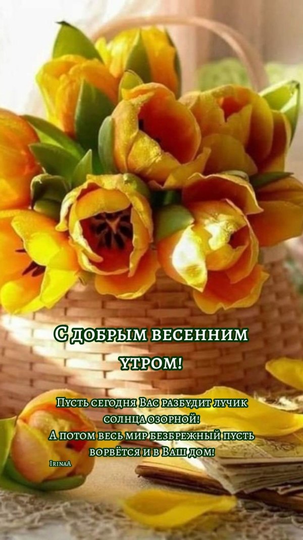 Изображение №51 1080x1921 из коллекции «Открытки «С добрым весенним утром!»»