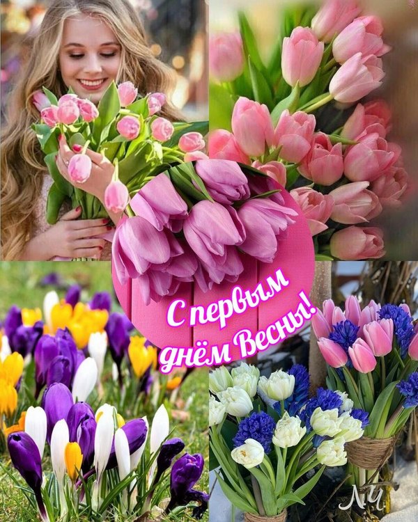 Изображение №37 1200x1500 «Открытка С первым днём весны!» из коллекции «Открытки «С Весной!»»