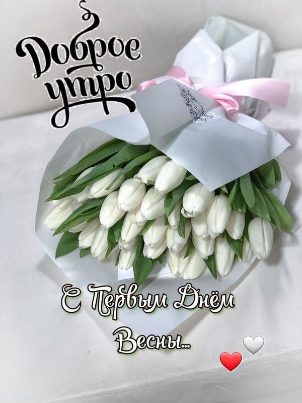 Изображение №33 736x981 «Открытка Доброе утро! С первым днём весны!» из коллекции «Открытки «С Весной!»»