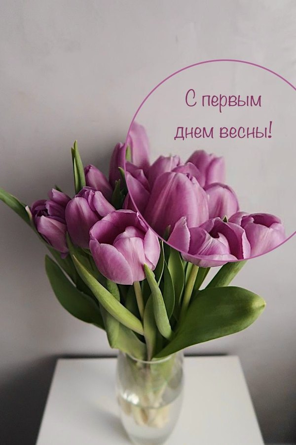 Изображение №55 750x1125 «Открытка С первым днем весны!» из коллекции «Открытки «С Весной!»»