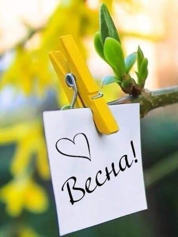 Изображение №15 453x604  из коллекции «Открытки «С Весной!»»