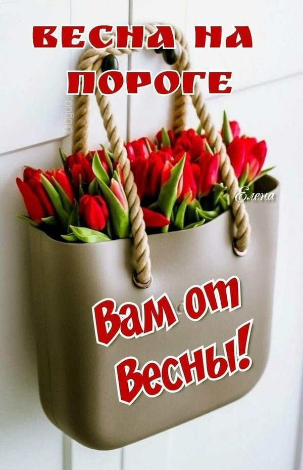 Изображение №13 736x1140 «Весна на пороге... Вам от весны!» из коллекции «Открытки «С Весной!»»