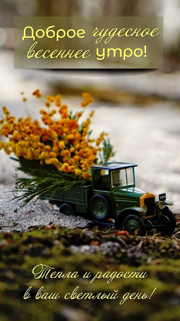 Изображение №27 1080x1920 «Доброе чудесное весеннее утро!» из коллекции «Открытки «С добрым весенним утром!»»