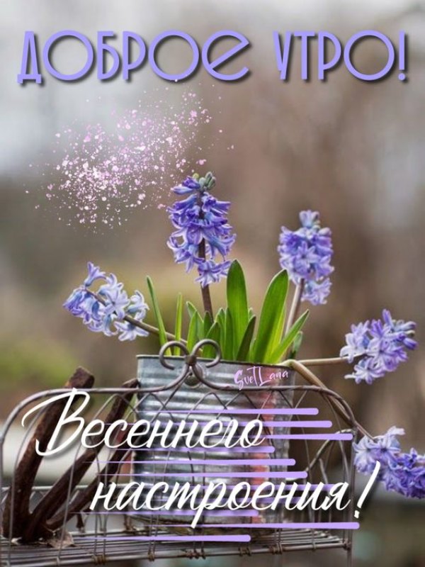 Изображение №26 564x752 «Доброе утро! Весеннего настроения!» из коллекции «Открытки «С добрым весенним утром!»»