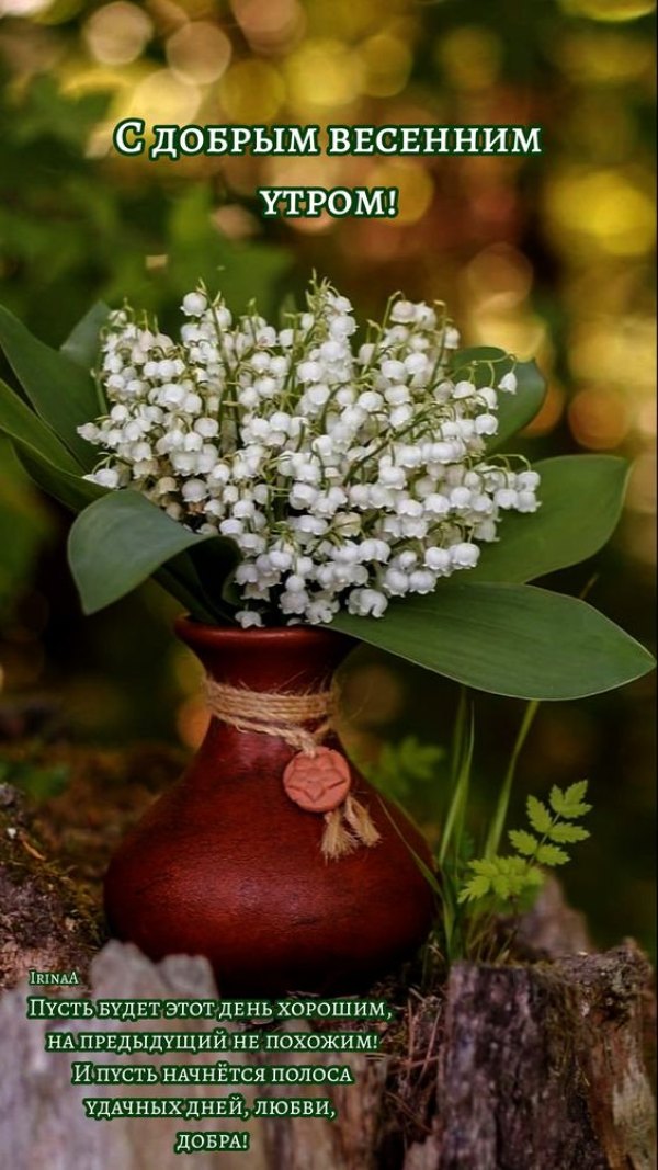 Изображение №12 564x1003 «С добрым весенным утром, колокольчики» из коллекции «Открытки «С добрым весенним утром!»»