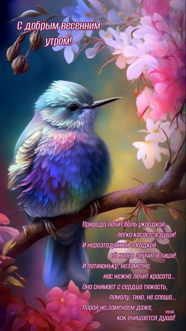 Изображение №43 564x1003 из коллекции «Открытки «С добрым весенним утром!»»