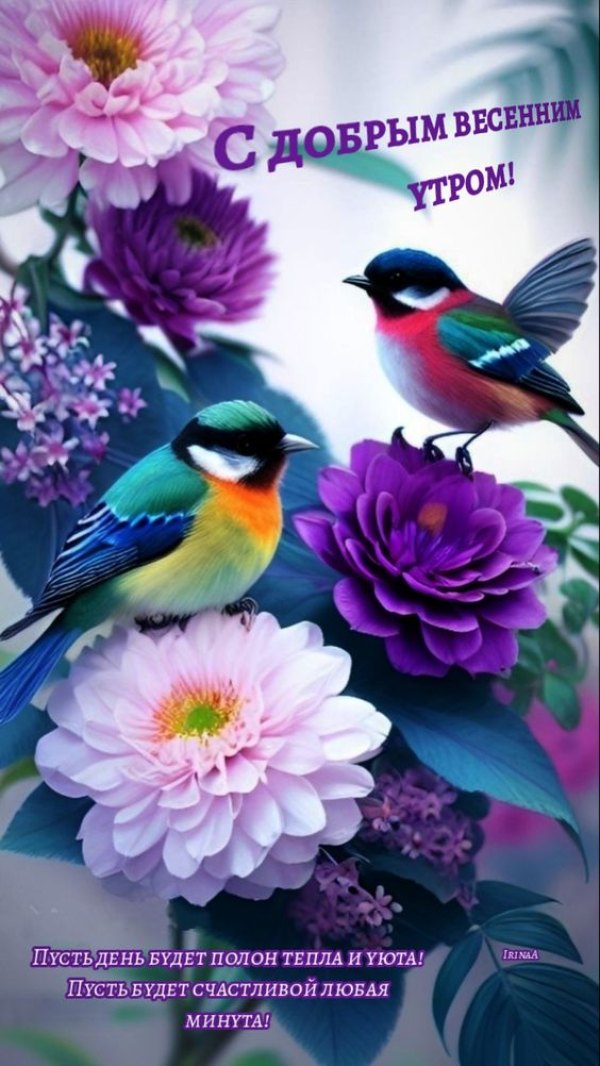 Изображение №11 564x1002 из коллекции «Открытки «С добрым весенним утром!»»