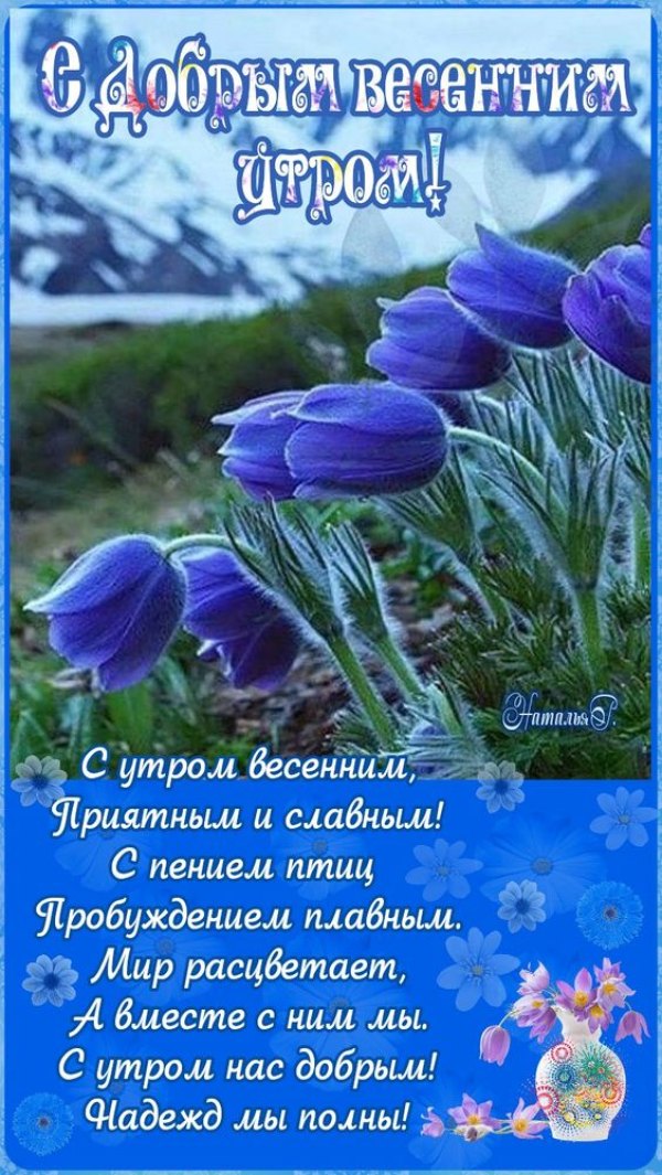 Изображение №42 564x1001 из коллекции «Открытки «С добрым весенним утром!»»