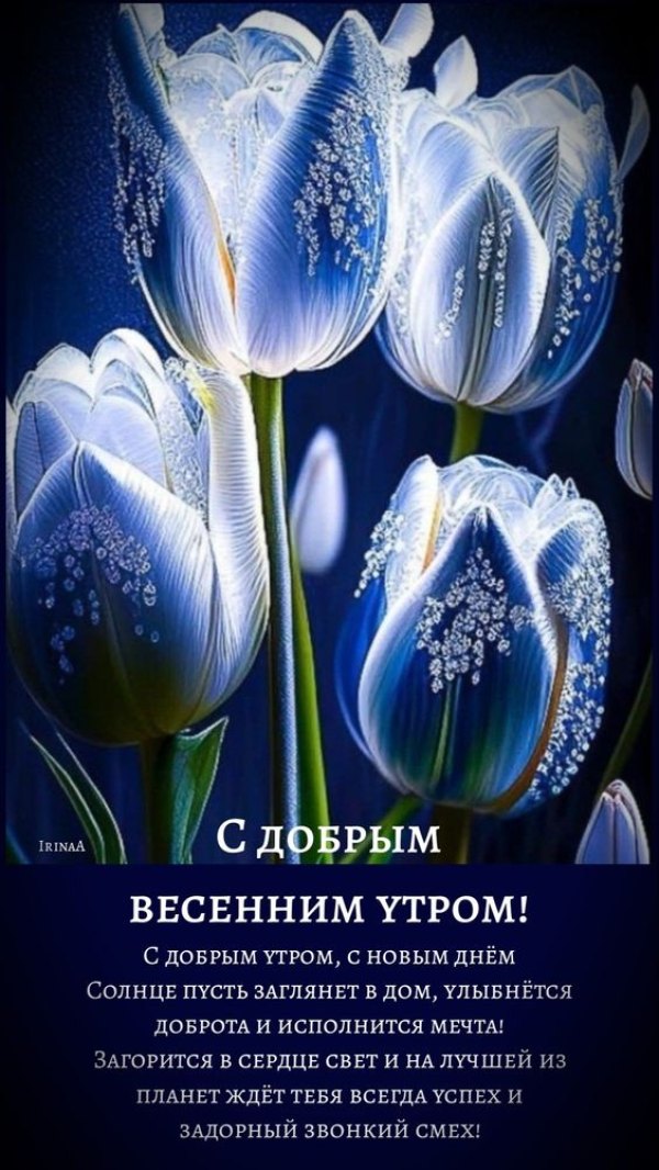 Изображение №33 564x1002 «С добрым весенным утром, синяя открытка» из коллекции «Открытки «С добрым весенним утром!»»