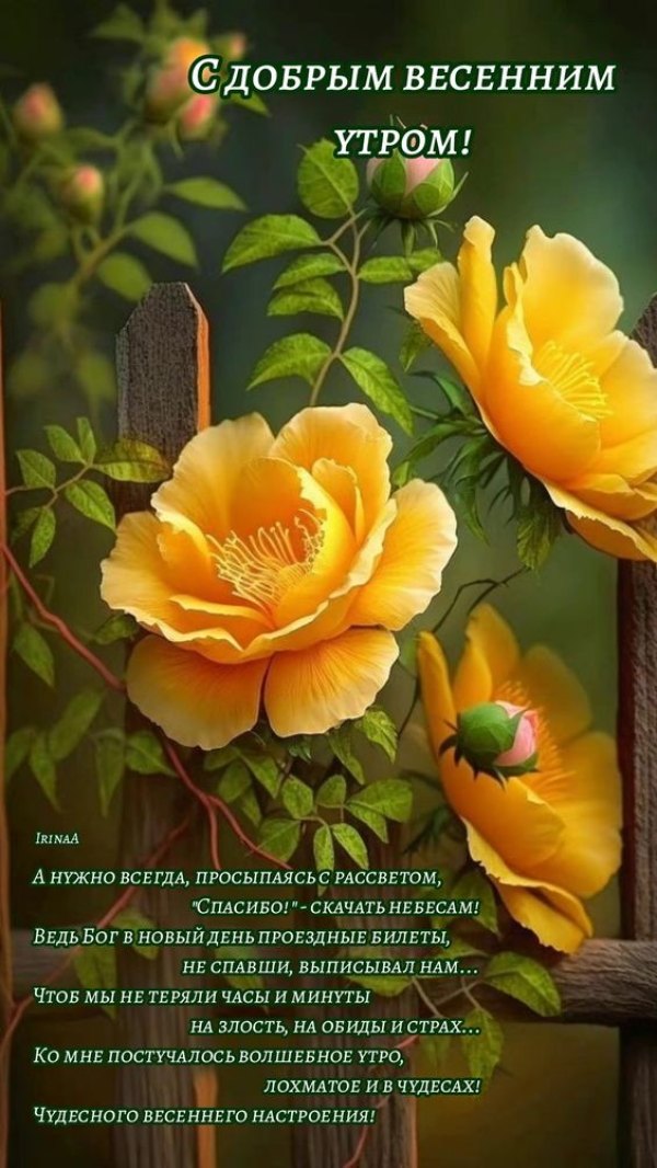 Изображение №9 564x1002 из коллекции «Открытки «С добрым весенним утром!»»